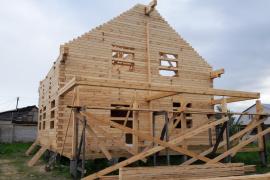 В регионе ввели единую очередь на получение древесины для строительства жилых домов.