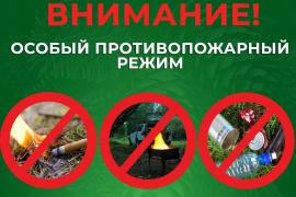 На территории Вологодской области установлен особый противопожарный режим на землях лесного фонда.