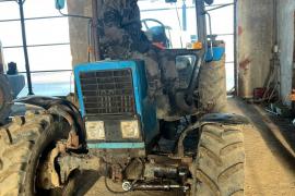 В одном из ведущих сельхозпредприятий Тотемского округа студенты проходят преддипломную практику.