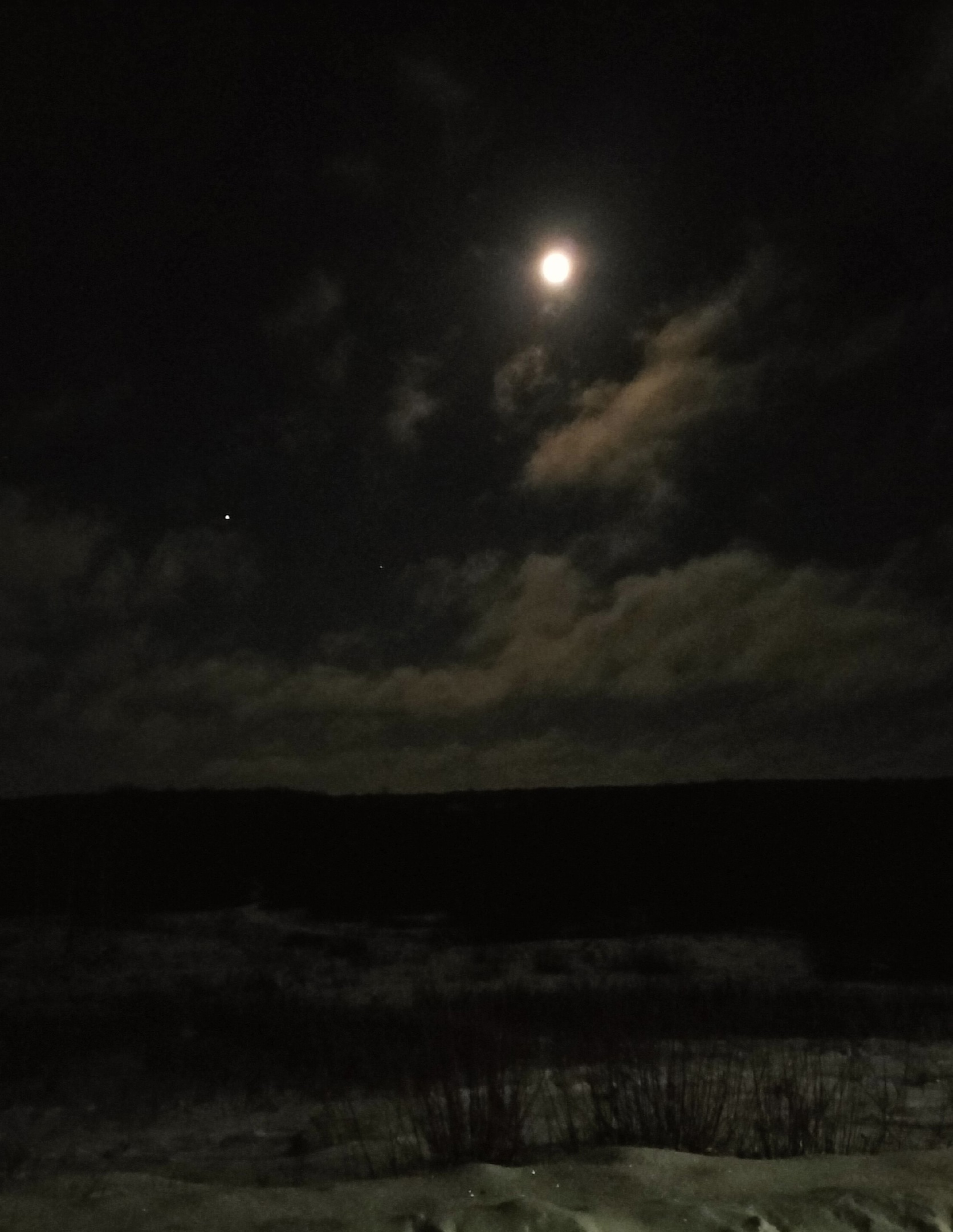 звезда полей