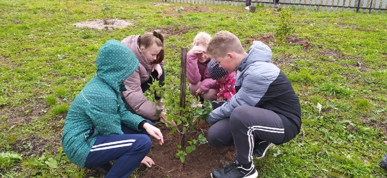 народный бюджет