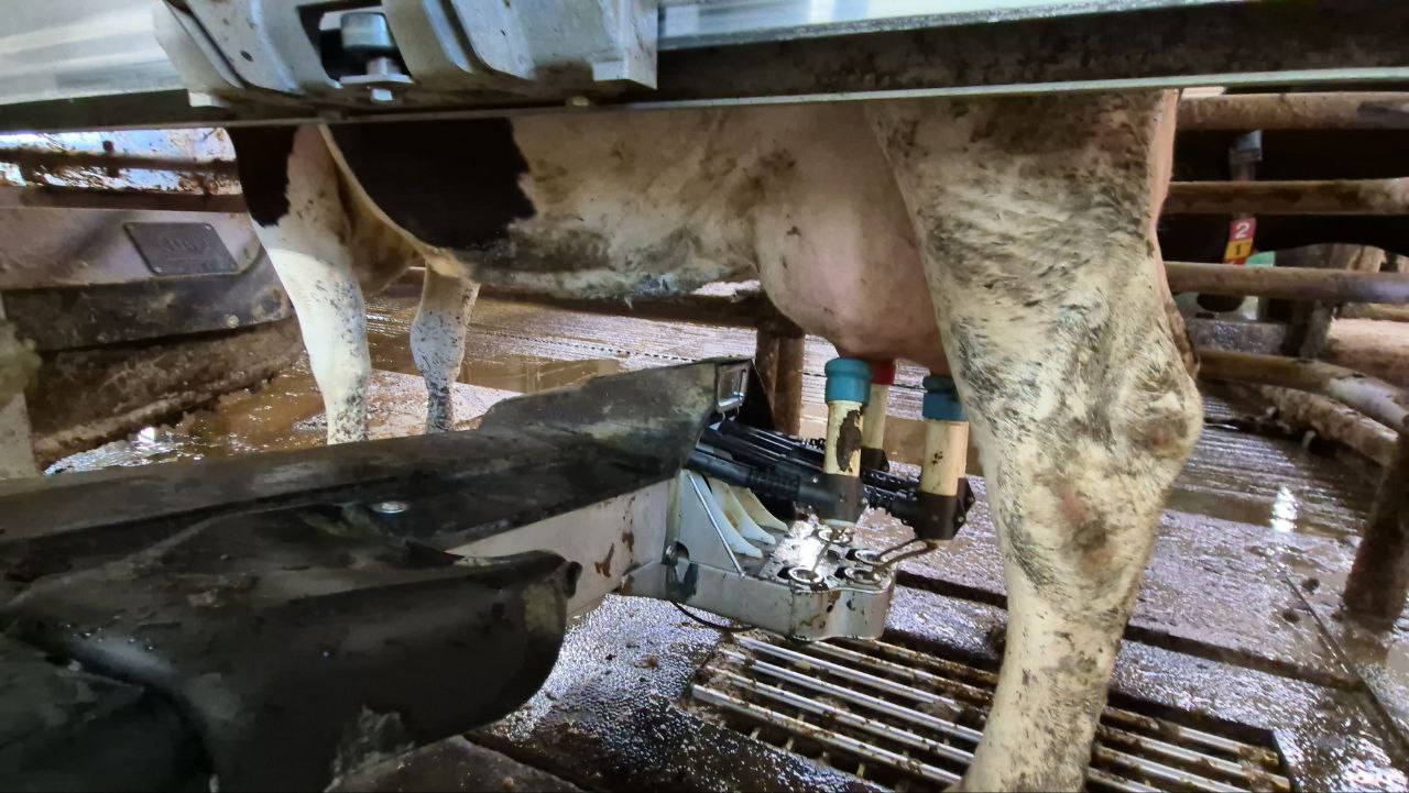 робот ферма