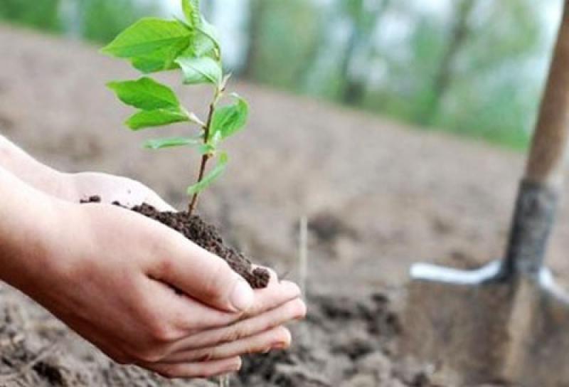 ЧИСТАЯ СТРАНА