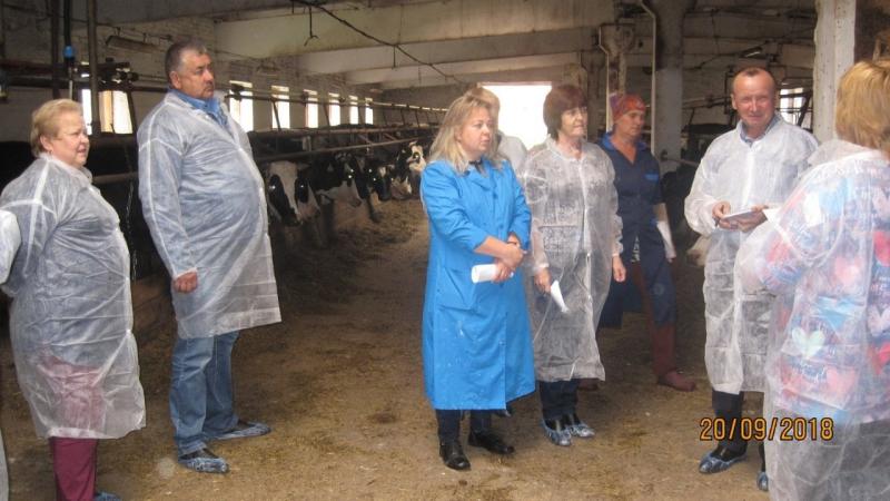 За опытом в соседний регион