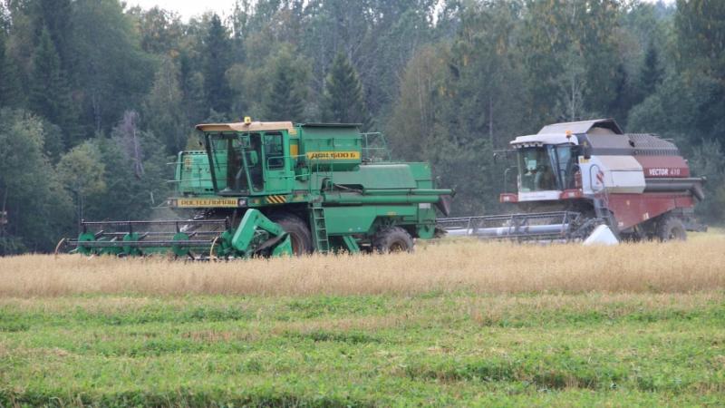 Полевые работы близятся к завершению