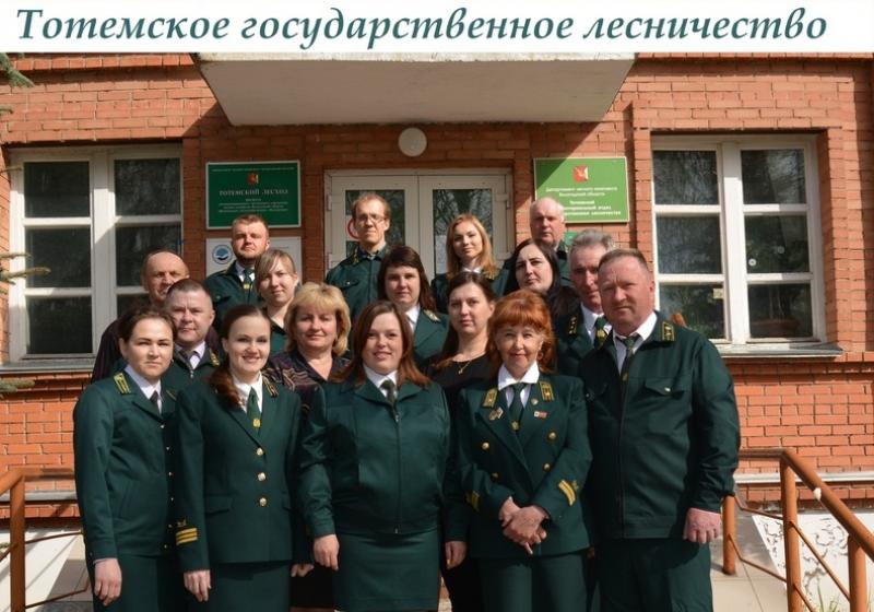 Тотемское государственное лесничество - лучшее в области по итогам работы за 2019 год