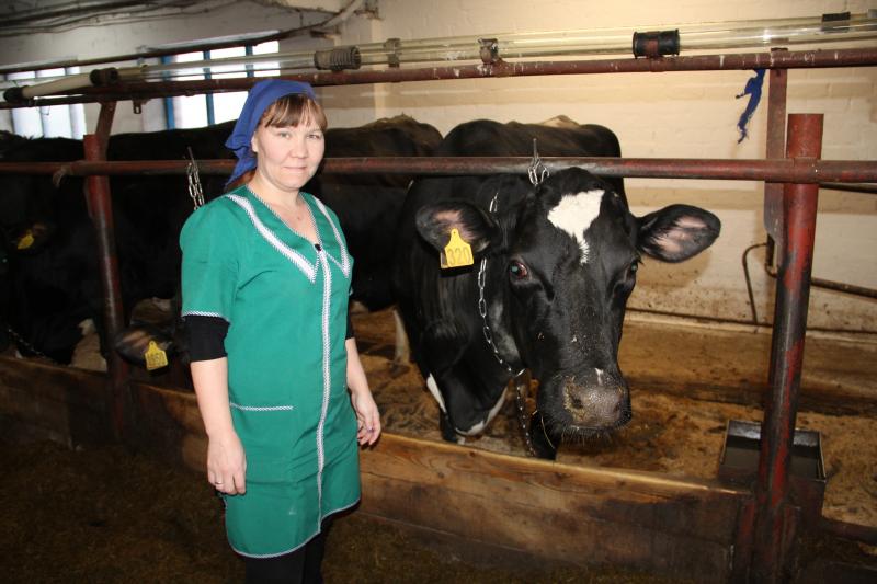 Рекорды "Родины"