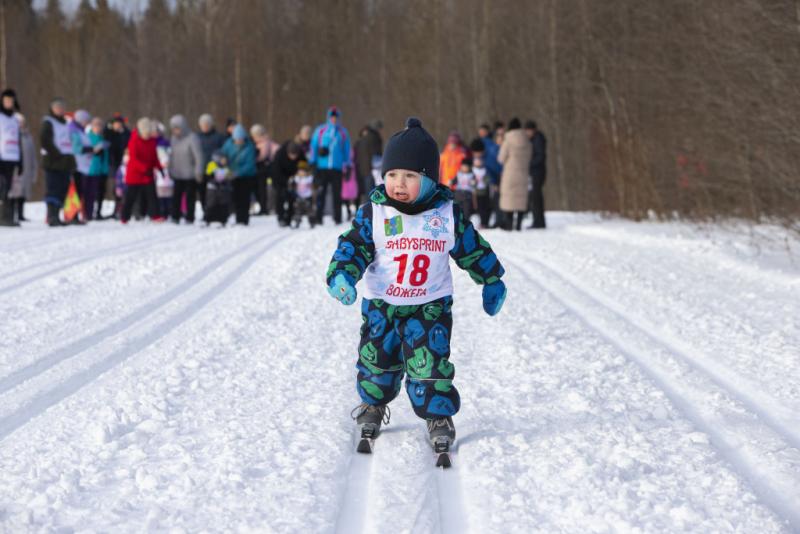 Ко Дню защитника отечества почти двадцать муниципалитетов приготовили для вологжан праздничные активности на благоустроенных территориях