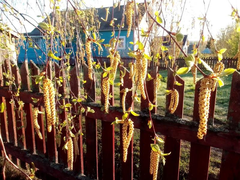 Фото Валентины Игошевой.