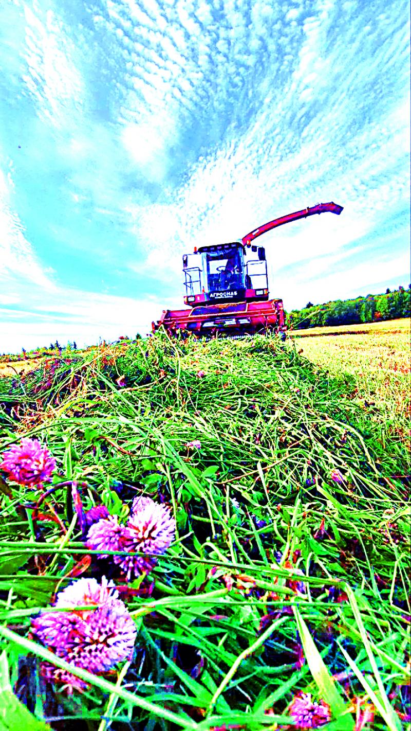 Одному из крупнейших производителей сельскохозяйственной продукции в Тотемском муниципальном округе – СПК (колхозу) «Родина» – исполнилось 65 лет