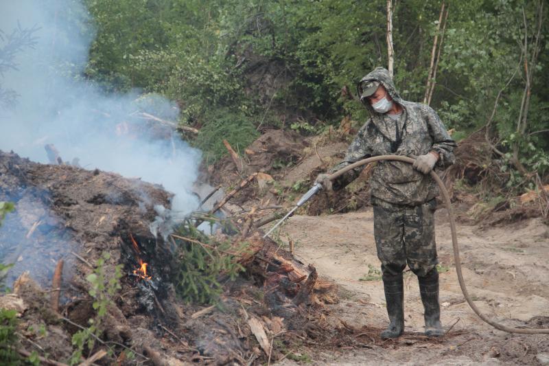 Пожароопасный сезон начнётся в регионе с 6 апреля.