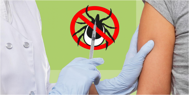 На Вологодчине стартовала массовая иммунизация против клещевого энцефалита