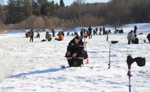 В традиционном фестивале «Золотая лунка» приняли участие 84 рыбака.