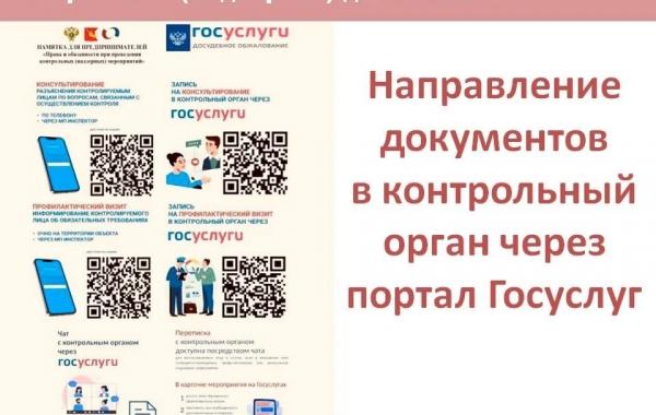 Как направить документы в надзорный орган через госуслуги.