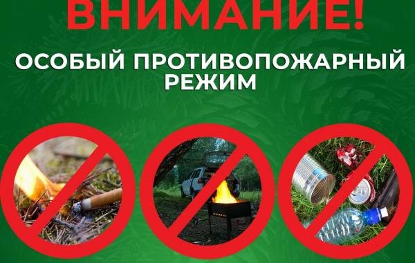 На территории Вологодской области установлен особый противопожарный режим на землях лесного фонда.