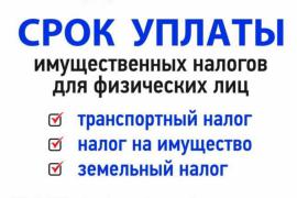 НАЛОГ ЗАПЛАТИ В СРОК