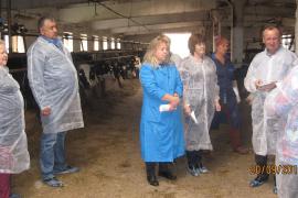 За опытом в соседний регион