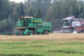 Полевые работы близятся к завершению