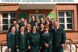 Тотемское государственное лесничество - лучшее в области по итогам работы за 2019 год