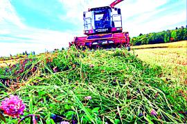 Одному из крупнейших производителей сельскохозяйственной продукции в Тотемском муниципальном округе – СПК (колхозу) «Родина» – исполнилось 65 лет