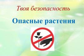 ОПАСНЫЕ РАСТЕНИЯ