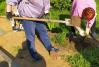 Жители приняли активное участие в разбивке клумб.